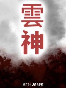 云神盾访客机